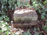 image of grave number 725525